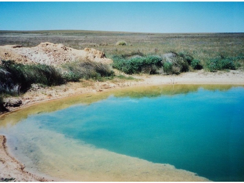 98 White Cliffs Road, Sandy Gully WA 6535