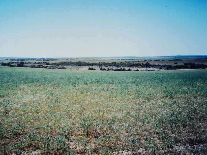 98 White Cliffs Road, Sandy Gully WA 6535