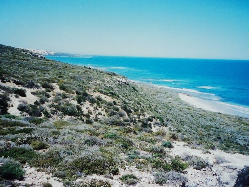 98 White Cliffs Road, Sandy Gully WA 6535