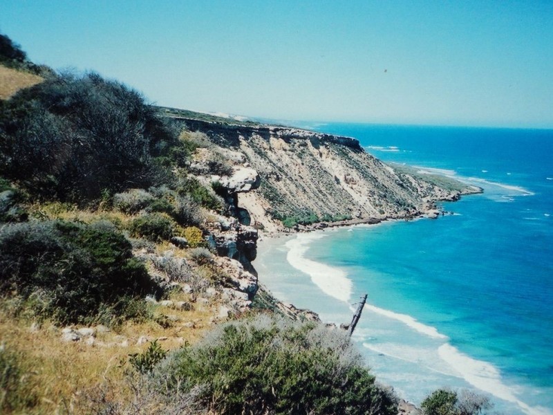 98 White Cliffs Road, Sandy Gully WA 6535