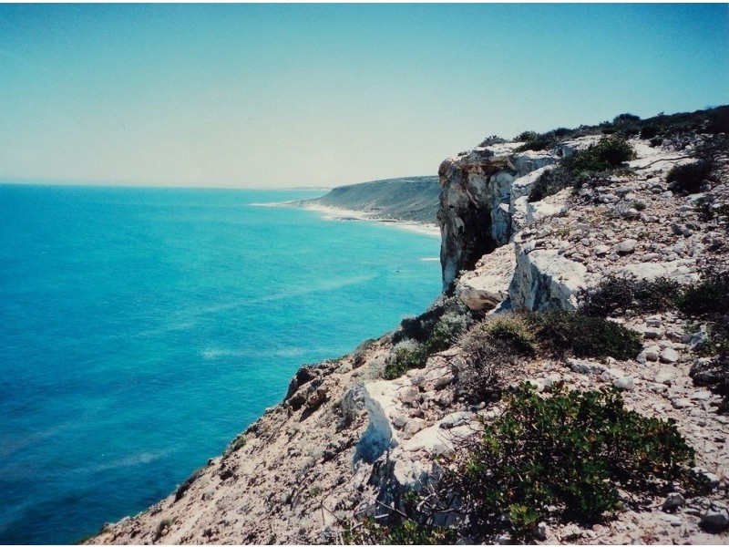 98 White Cliffs Road, Sandy Gully WA 6535