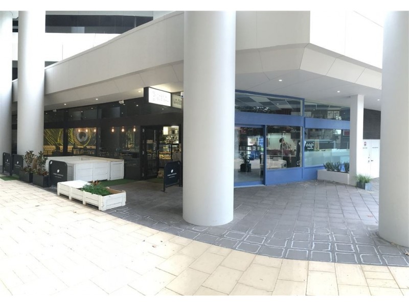 2/239 Adelaide Terrace, Perth WA 6000