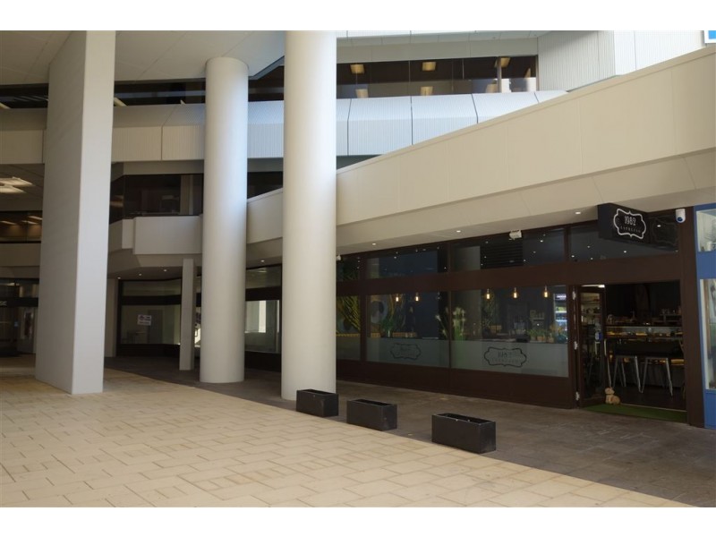 2/239 Adelaide Terrace, Perth WA 6000