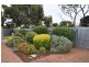 8 Southern Ave, St Marys SA 5042