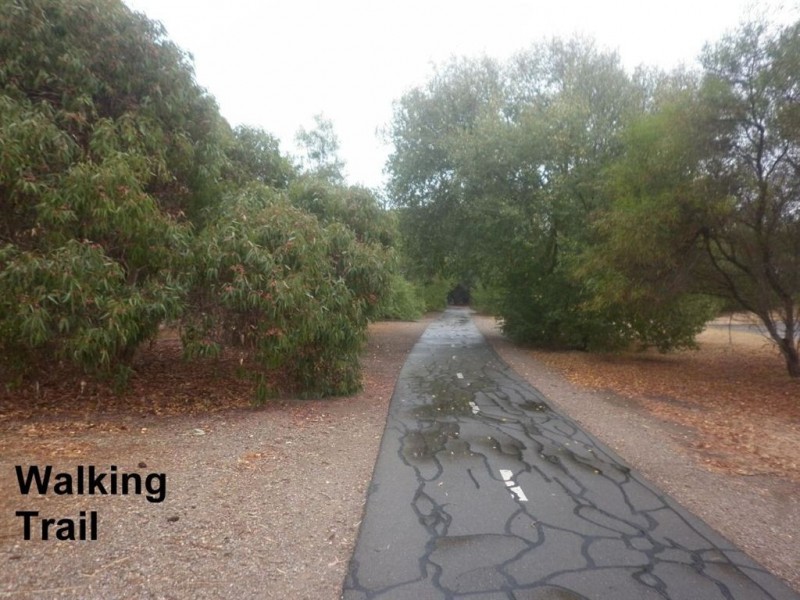 25 Bluegum Road, Morphett Vale SA 5162