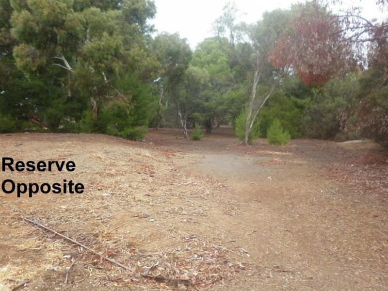 25 Bluegum Road, Morphett Vale SA 5162