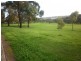67 Young Street, Reynella SA 5161