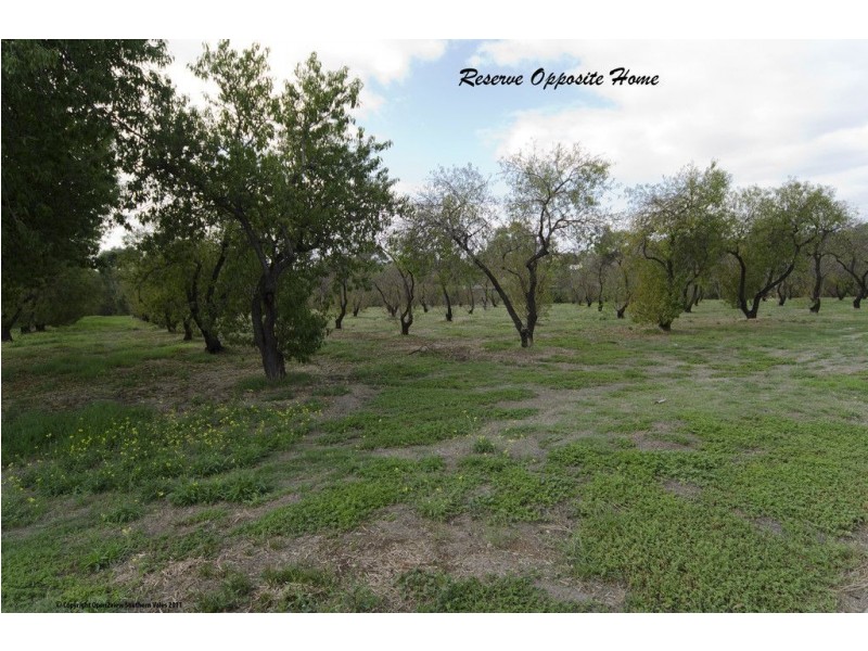 4 Avon Avenue, Morphett Vale SA 5162