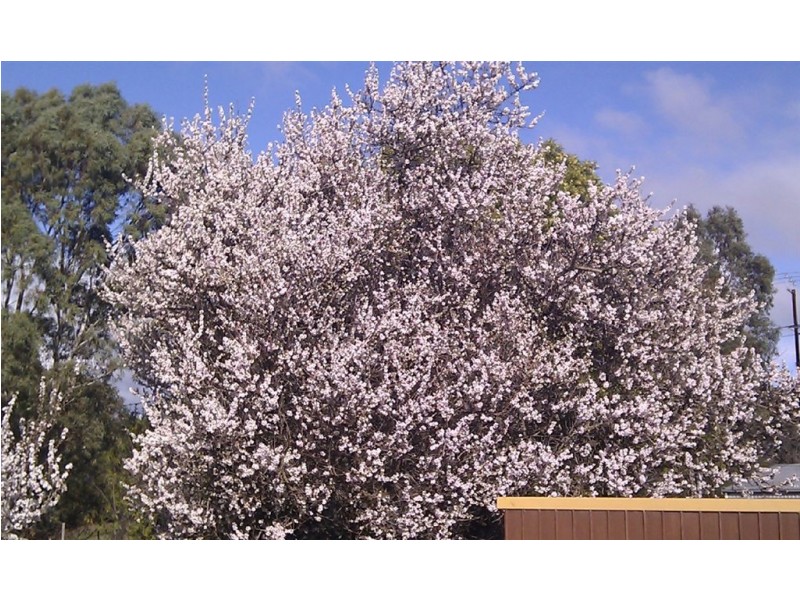 23 Baltimore Avenue, Morphett Vale SA 5162