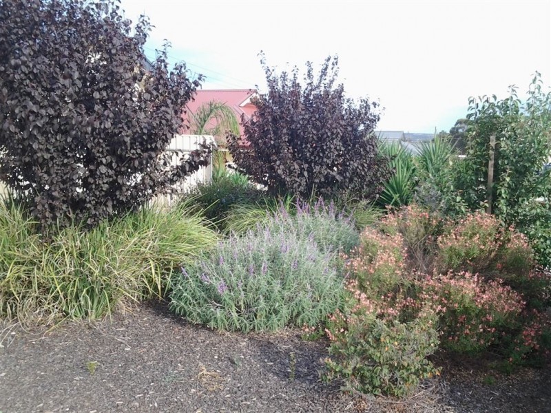 3 Lucy Court, Trott Park SA 5158