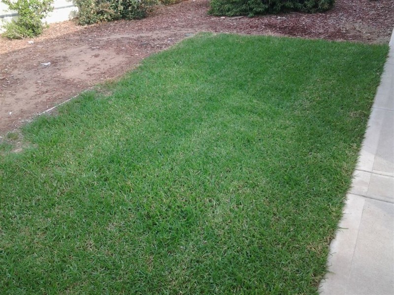 3 Lucy Court, Trott Park SA 5158