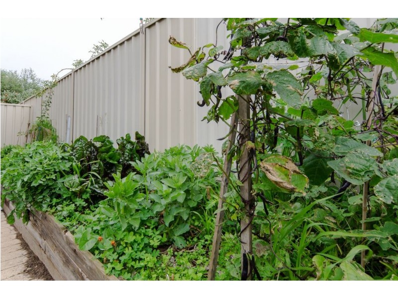 4/2 West Street, Ascot Park SA 5043