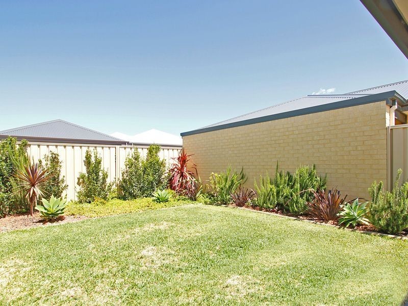 3 Dalry Cove, Butler WA 6036