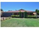 75 Balladong Loop, Carramar WA 6031