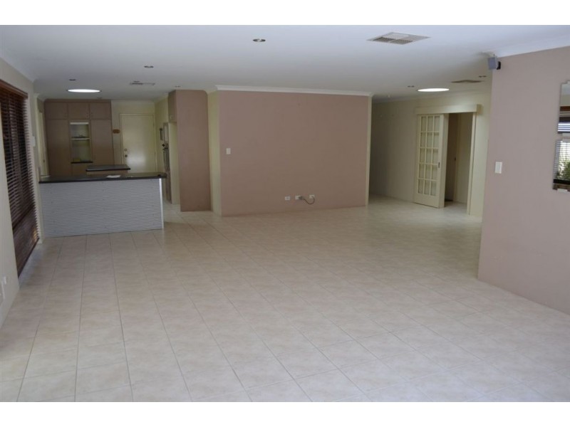 19 Alveley Loop, Butler WA 6036