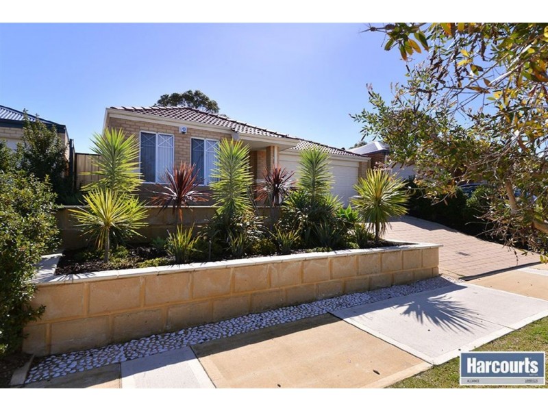 5 Tuxedo Link, Clarkson WA 6030