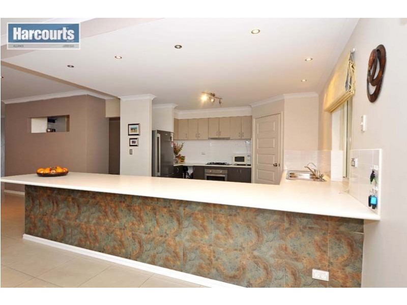 31 Moorlinch Street, Butler WA 6036