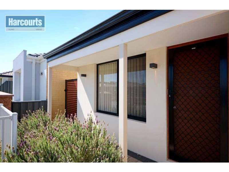 37 Splendens Avenue, Banksia Grove WA 6031