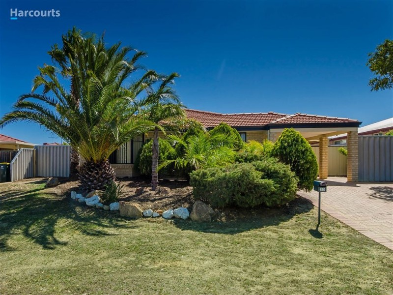 20 Dewar Mews, Clarkson WA 6030