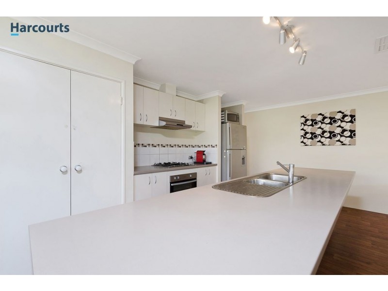 18 Paisley Link, Butler WA 6036