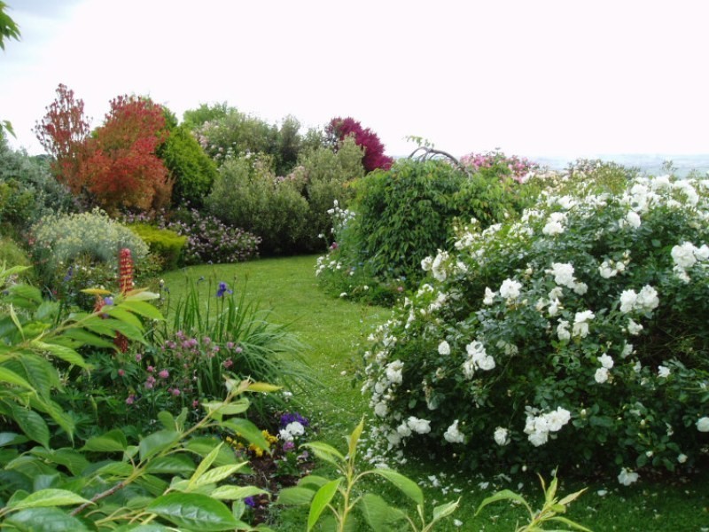 1435 Mardan Rd,, Mardan VIC 3953