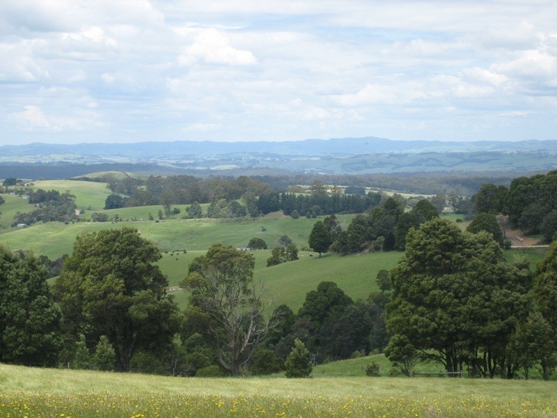 1555 Grand Ridge Road, Trida VIC 3953