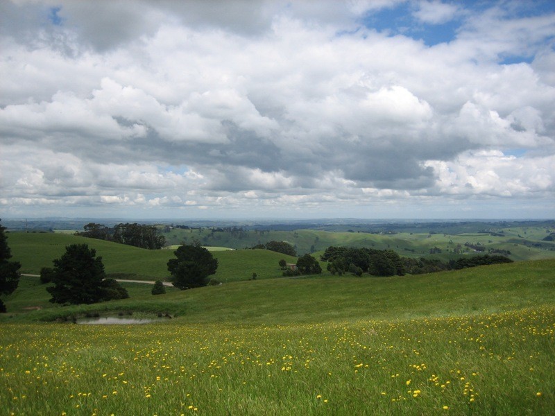 1555 Grand Ridge Road, Trida VIC 3953