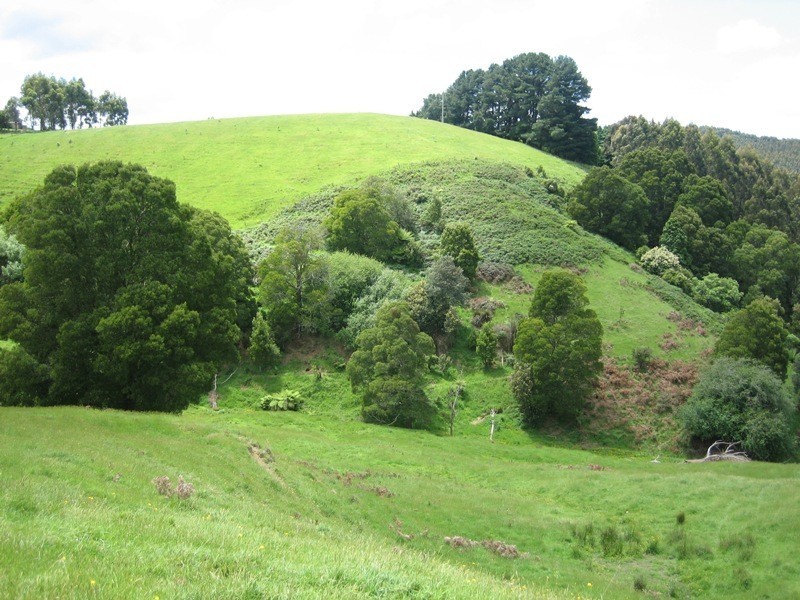 1555 Grand Ridge Road, Trida VIC 3953