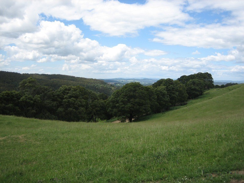 1550 Grand Ridge Rd, Trida VIC 3953