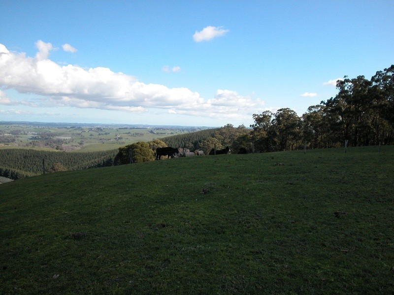 490 Forresters Road, Hallston VIC 3953