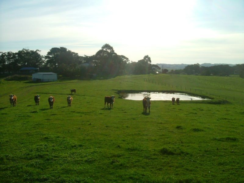 10 Lolands Road, Kongwak VIC 3951