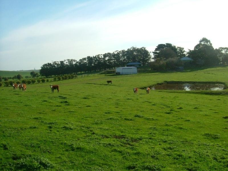 10 Lolands Road, Kongwak VIC 3951