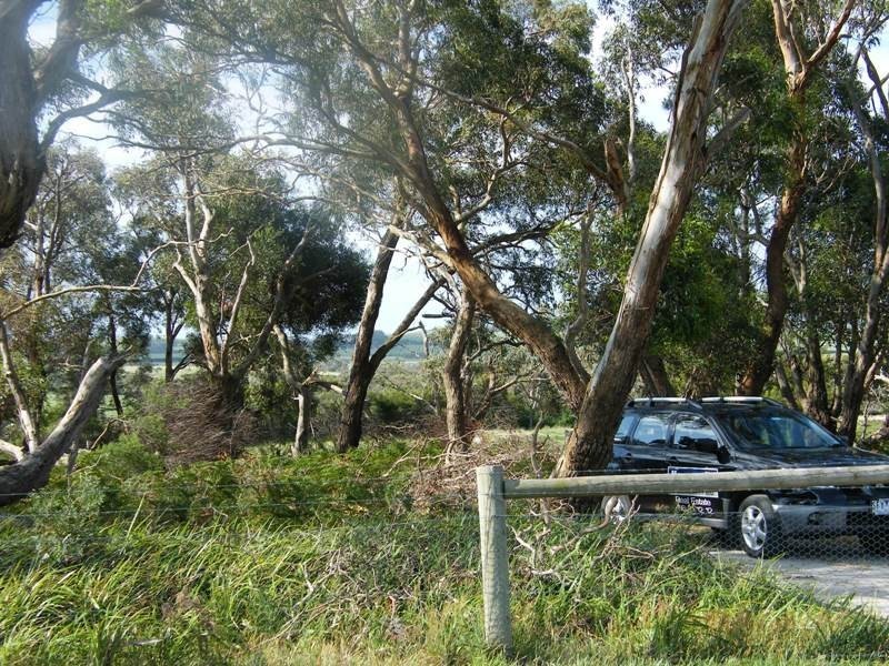 Lot 1 C.Anderson Road, Tarwin VIC 3956