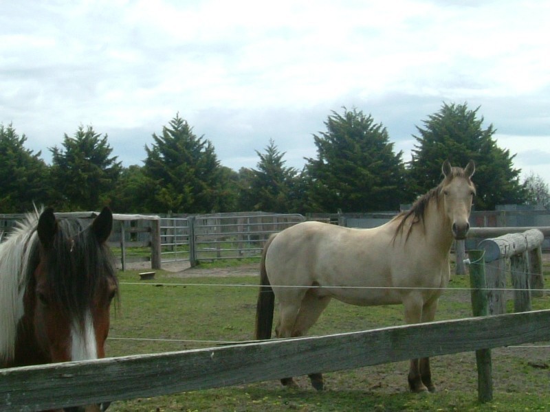 80 Outtrim-Leongatha South Road, Outtrim VIC 3951