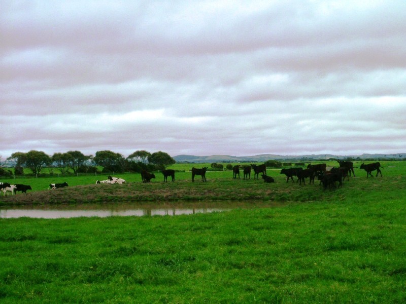 2 Buffalo Lower Tarwin road, Buffalo VIC 3958