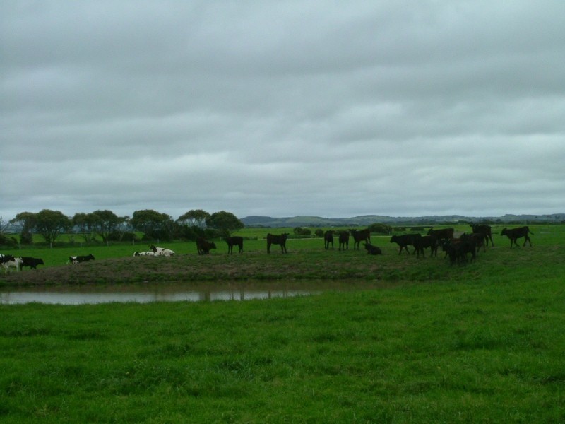 2 Buffalo Lower Tarwin road, Buffalo VIC 3958