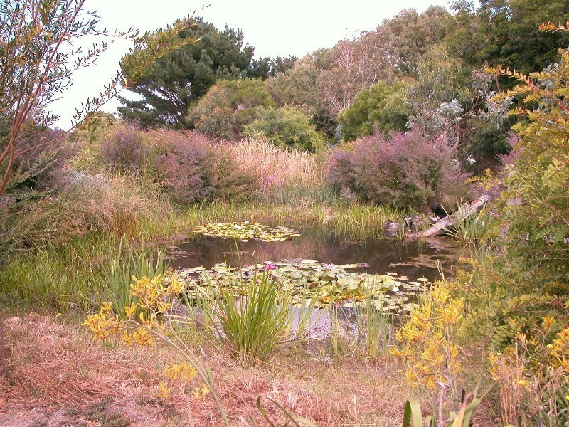 260 Falls Road, Fish Creek VIC 3959