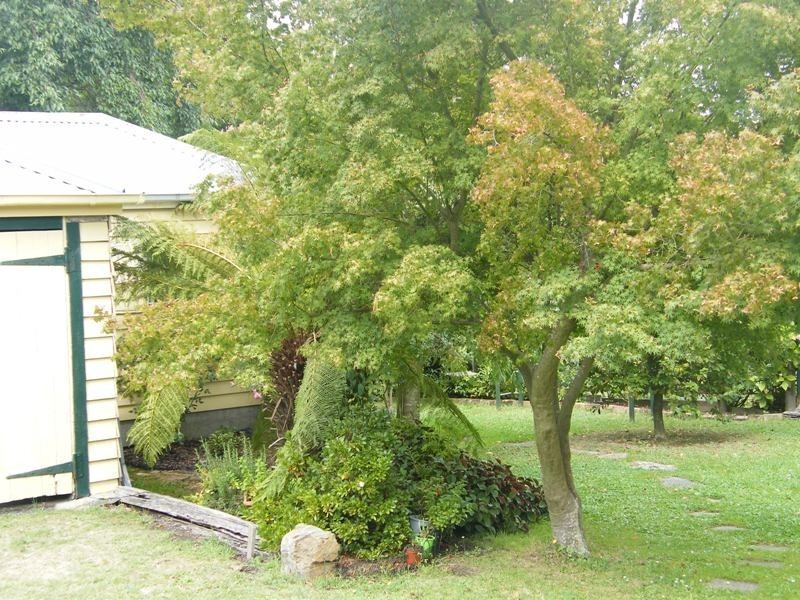 8 Warragul Road, Korumburra VIC 3950