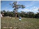 Lot 2 Kangaroo Rise, Koonwarra VIC 3954