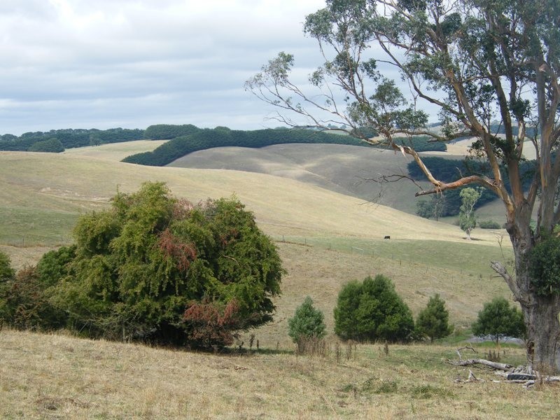 Lot 2 Loch Poowong Road, Poowong VIC 3988