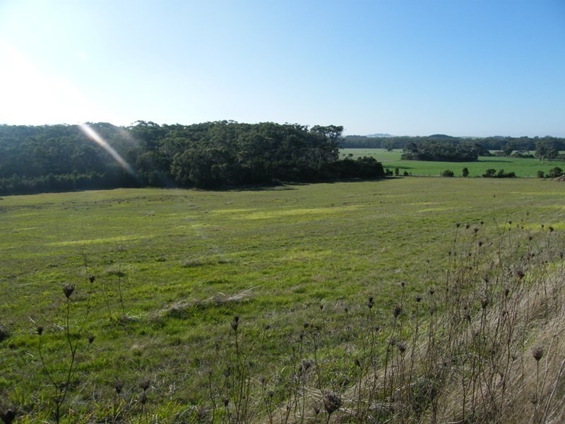 460 West Creek Road, West Creek VIC 3992