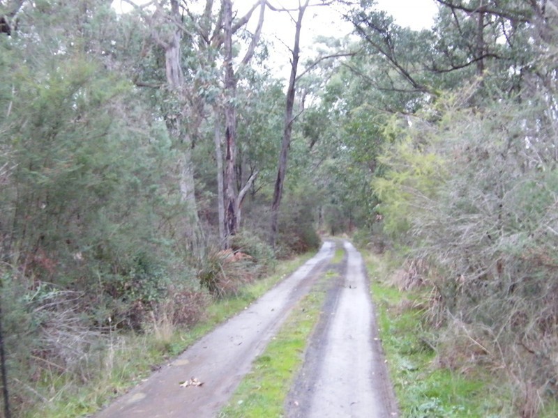 460 West Creek Road, West Creek VIC 3992