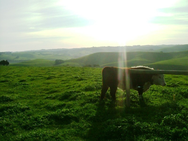 134 Hairs Road, Moyarra VIC 3951