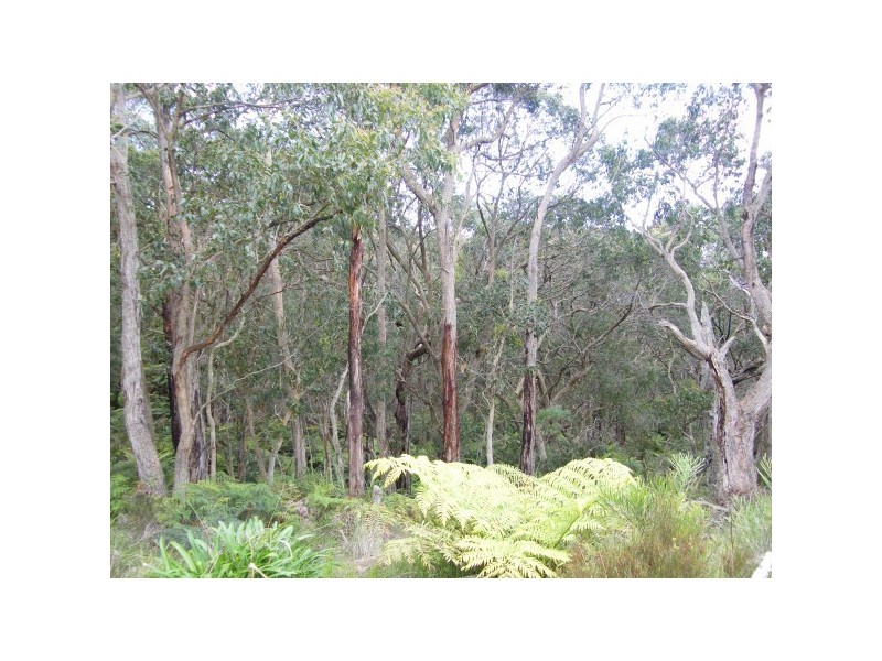 97 Mathers Road, Waratah North VIC 3959