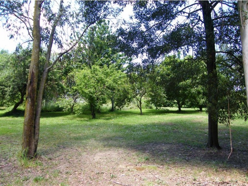 23 Strzelecki Highway, Mirboo North VIC 3871