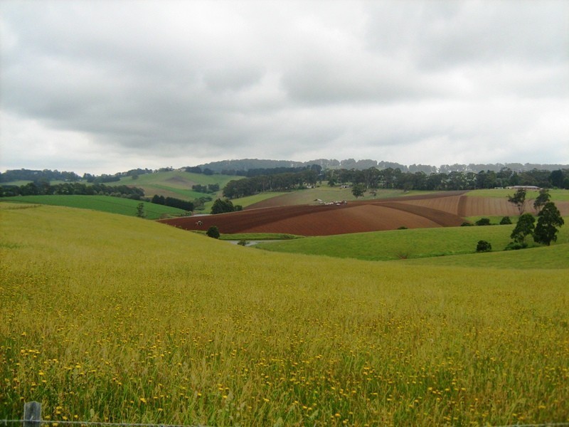 880A Berrys Creek Road, Mirboo North VIC 3871