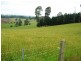 880A Berrys Creek Road, Mirboo North VIC 3871