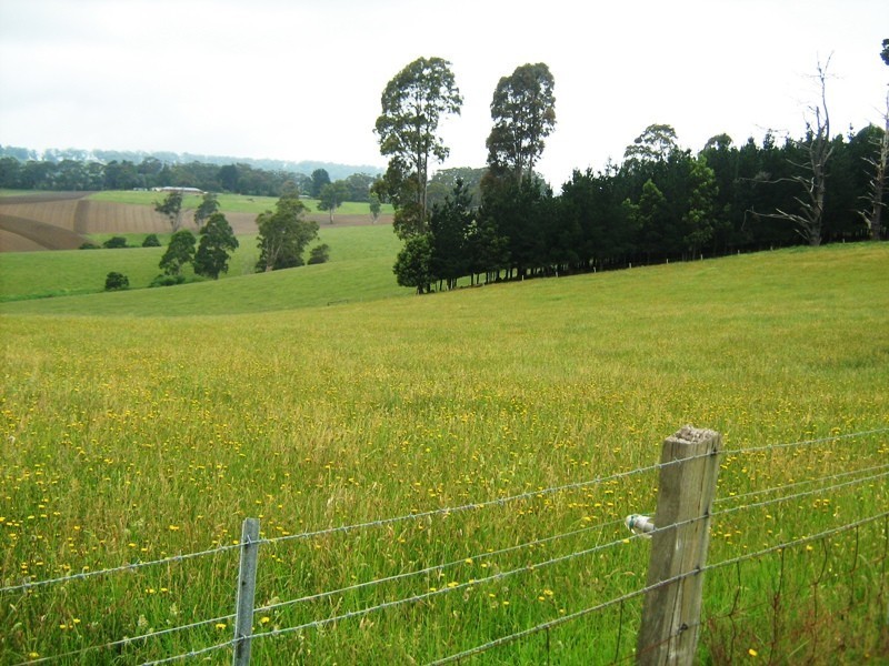 880A Berrys Creek Road, Mirboo North VIC 3871