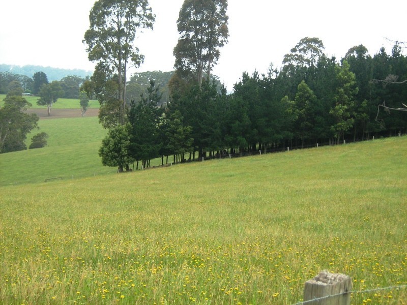 880A Berrys Creek Road, Mirboo North VIC 3871