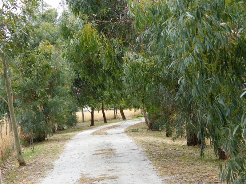 310 Sewells Road, Koonwarra VIC 3954